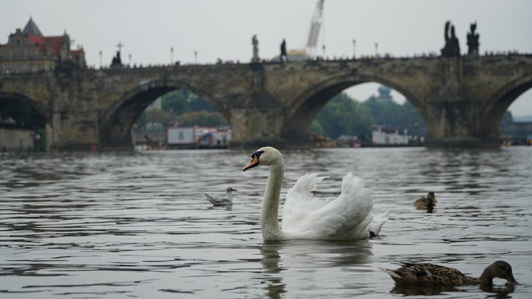 voyager a prague pont charles