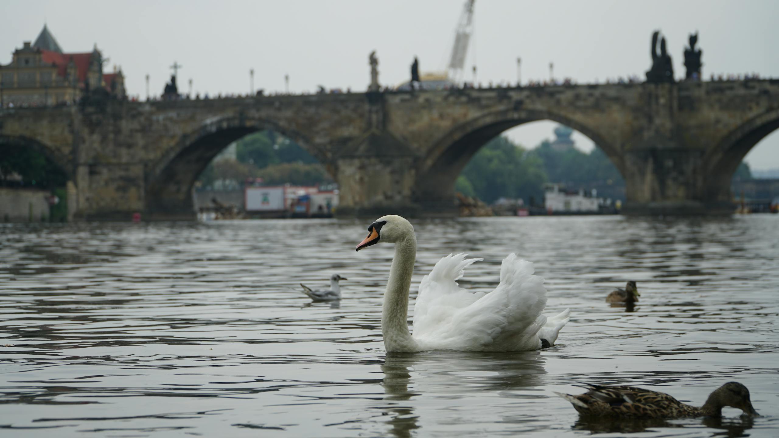 voyager a prague pont charles